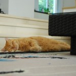 Teil 14 – Schlafen
