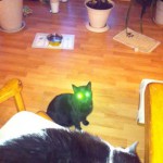 luther_2013_02_alien