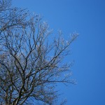 blauer_himmel_2013_3