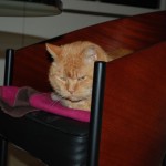 ginger_2013_01_chair