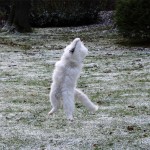 Teil 37 – Spielangel (outdoor)