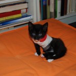 marvi_22_6_portrait_2_s