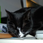mira_2013_01_kleingedruckte