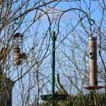 birdfeeder_2014_02_system