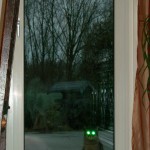 Sonderausgabe: Weltkatzentag +++ Tag der Katze +++ World Cat Day