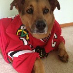 gracie_2013_07_blackhawksfan