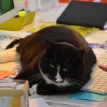 mira_2014_02_deskcat