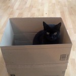 luther_2013_10_kartonkater_w