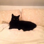 luther_2013_12_sofaprinz