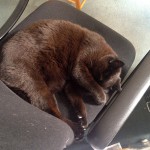 luther_2014_04_office_sleep