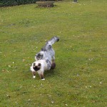 islay_j_2015_03_jagen11