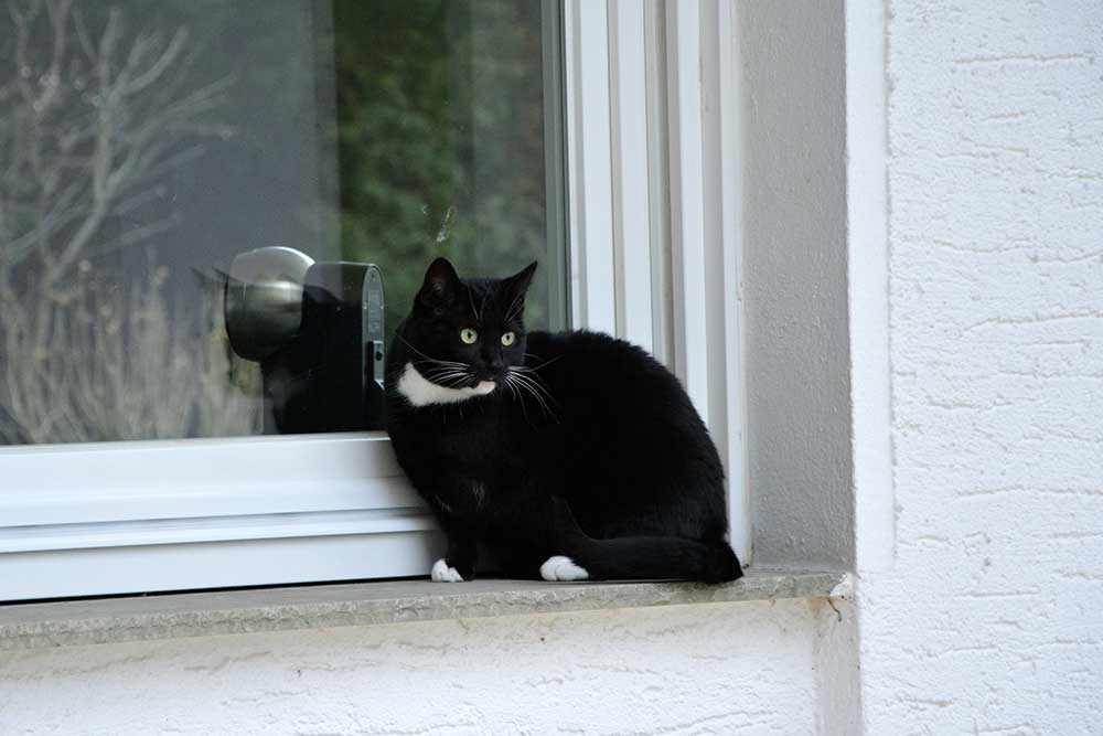 Teil 526 – Auflösung Montagsrätsel