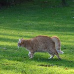 sander_2016_01_develope