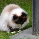 joschi_2016_08_schnecke6