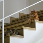 sander_mrs-peel_2016_07_treppe1