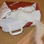 isfrid_2016_10_paperbag1