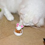 isfrid_2016_10_snackmaus1