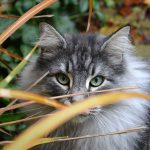 islay_2016_11_portrait2