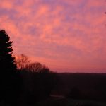 morgenrot_20170308