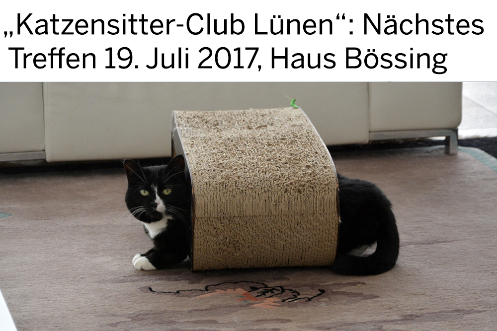 Teil 768 – Cat Sitting auf Gegenseitigkeit