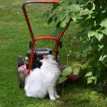 isfrid_2017_07_lawnmower1